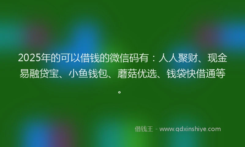 2025年的可以借钱的微信码有：人人聚财、现金易融贷宝、小鱼钱包、蘑菇优选、钱袋快借通等。