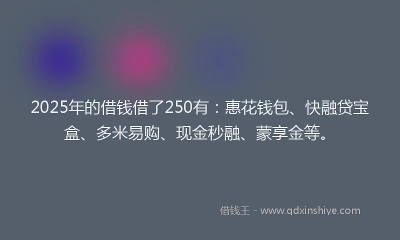 2025年的借钱借了250有：惠花钱包、快融贷宝盒、多米易购、现金秒融、蒙享金等。