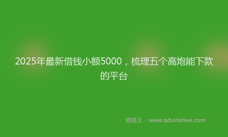 2025年最新借钱小额5000，梳理五个高炮能下款的平台
