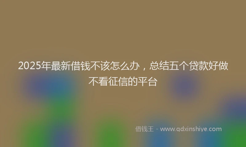 2025年最新借钱不该怎么办，总结五个贷款好做不看征信的平台