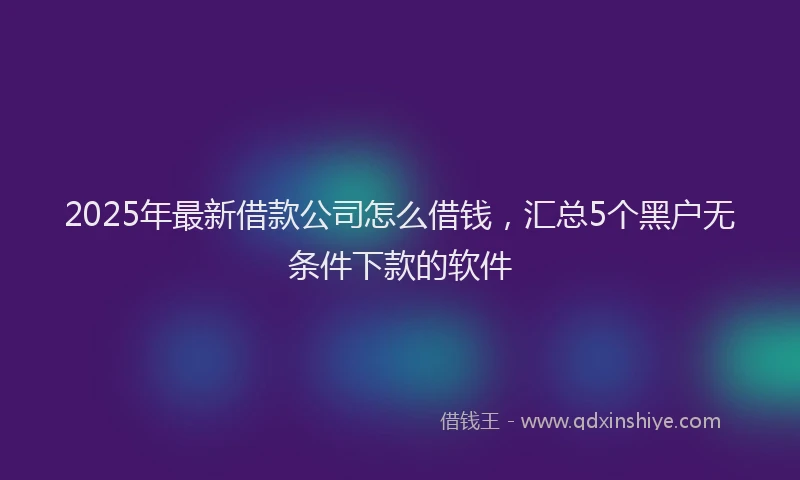 2025年最新借款公司怎么借钱，汇总5个黑户无条件下款的软件