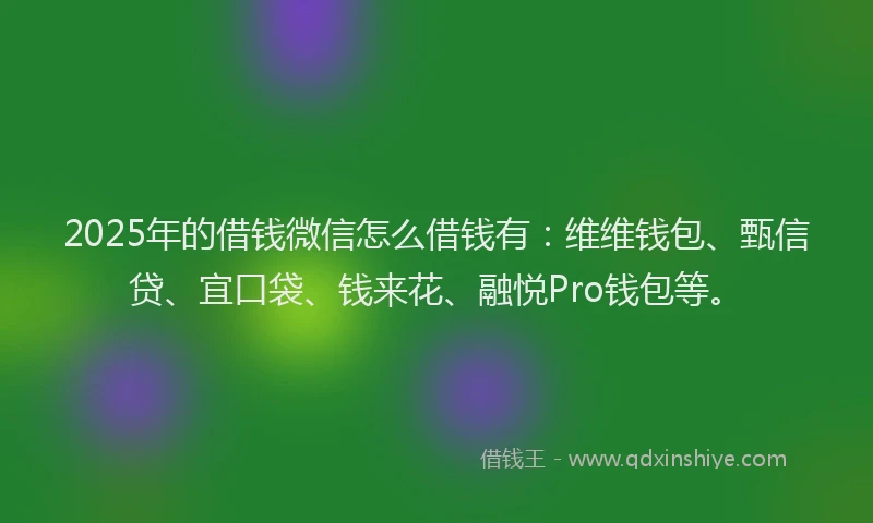 2025年的借钱微信怎么借钱有：维维钱包、甄信贷、宜口袋、钱来花、融悦Pro钱包等。