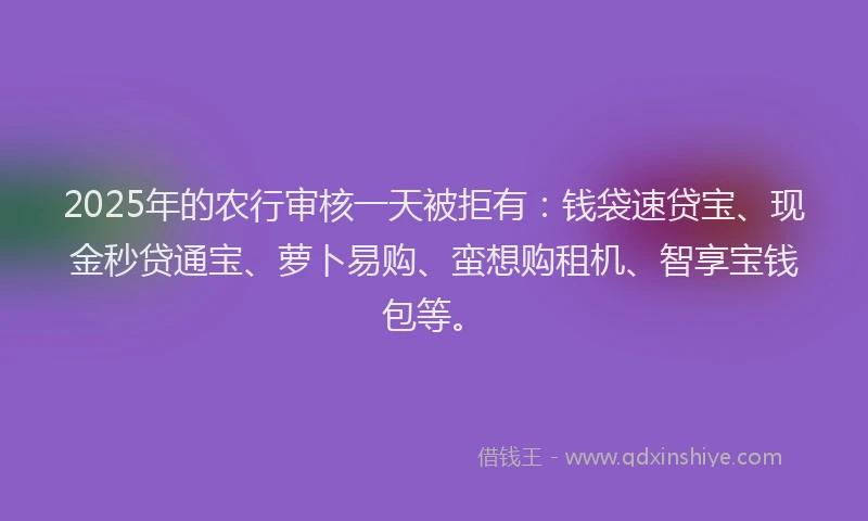 2025年的农行审核一天被拒有：钱袋速贷宝、现金秒贷通宝、萝卜易购、蛮想购租机、智享宝钱包等。