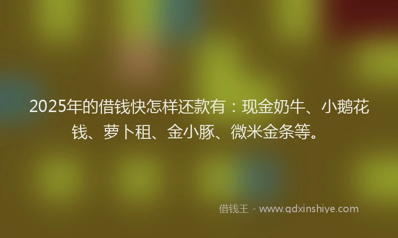 2025年的借钱快怎样还款有：现金奶牛、小鹅花钱、萝卜租、金小豚、微米金条等。
