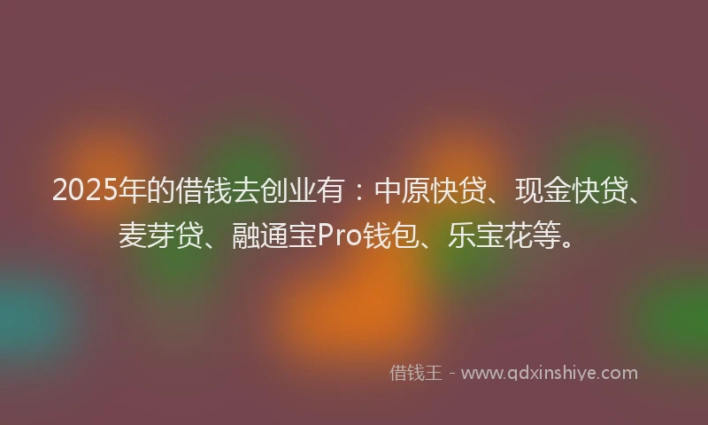 2025年的借钱去创业有：中原快贷、现金快贷、麦芽贷、融通宝Pro钱包、乐宝花等。