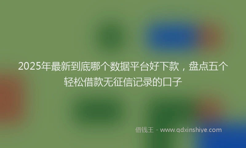 2025年最新到底哪个数据平台好下款，盘点五个轻松借款无征信记录的口子