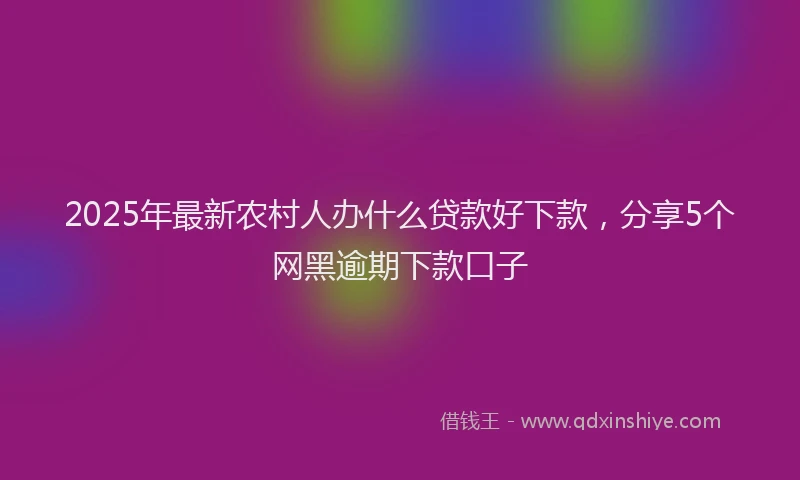 2025年最新农村人办什么贷款好下款，分享5个网黑逾期下款口子
