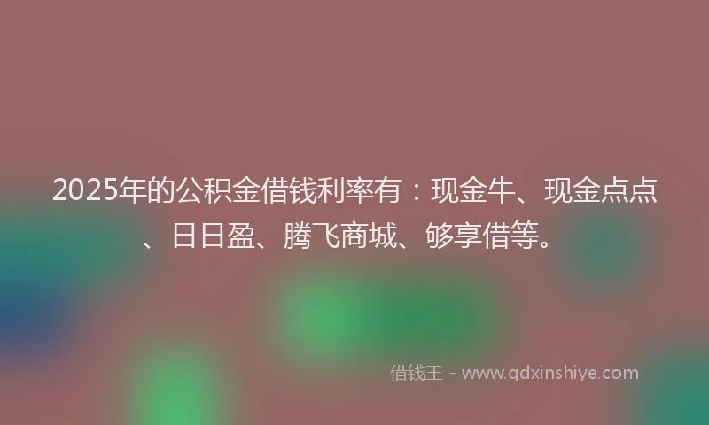 2025年的公积金借钱利率有：现金牛、现金点点、日日盈、腾飞商城、够享借等。