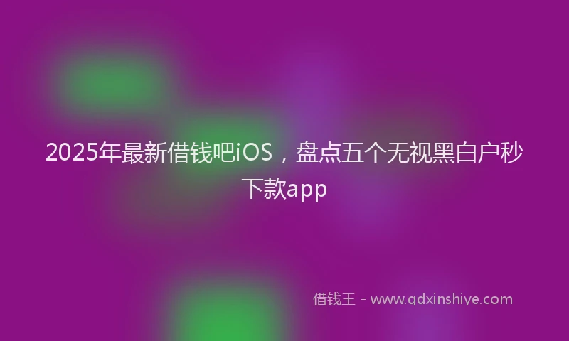 2025年最新借钱吧iOS，盘点五个无视黑白户秒下款app