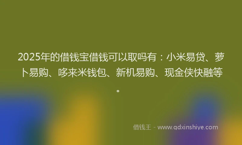 2025年的借钱宝借钱可以取吗有：小米易贷、萝卜易购、哆来米钱包、新机易购、现金侠快融等。