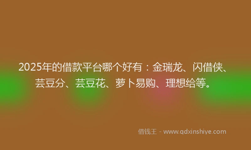 2025年的借款平台哪个好有：金瑞龙、闪借侠、芸豆分、芸豆花、萝卜易购、理想给等。
