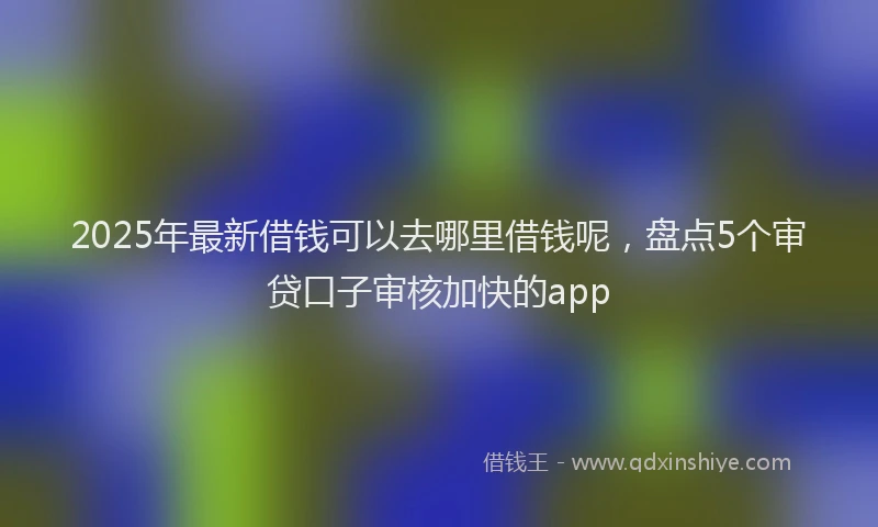 2025年最新借钱可以去哪里借钱呢，盘点5个审贷口子审核加快的app