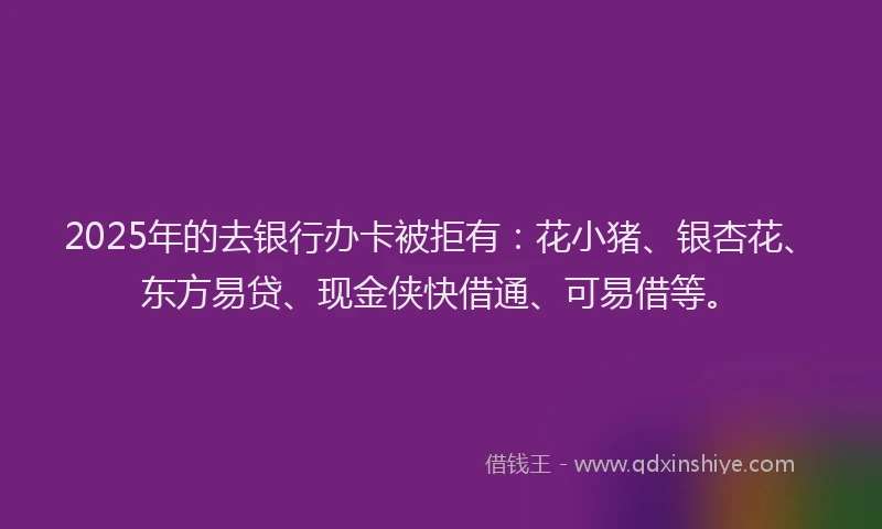 2025年的去银行办卡被拒有：花小猪、银杏花、东方易贷、现金侠快借通、可易借等。