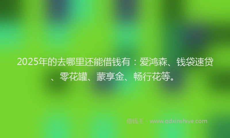 2025年的去哪里还能借钱有：爱鸿森、钱袋速贷、零花罐、蒙享金、畅行花等。