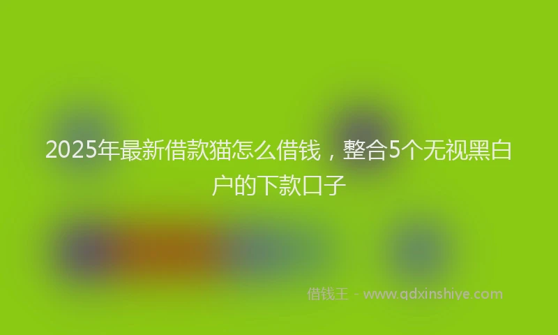 2025年最新借款猫怎么借钱，整合5个无视黑白户的下款口子