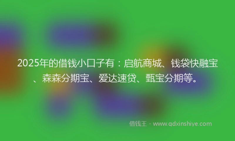 2025年的借钱小口子有：启航商城、钱袋快融宝、森森分期宝、爱达速贷、甄宝分期等。