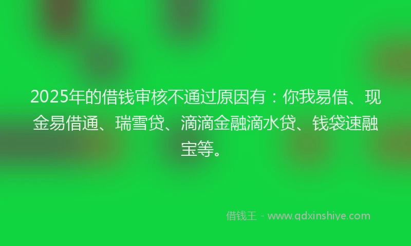 2025年的借钱审核不通过原因有：你我易借、现金易借通、瑞雪贷、滴滴金融滴水贷、钱袋速融宝等。