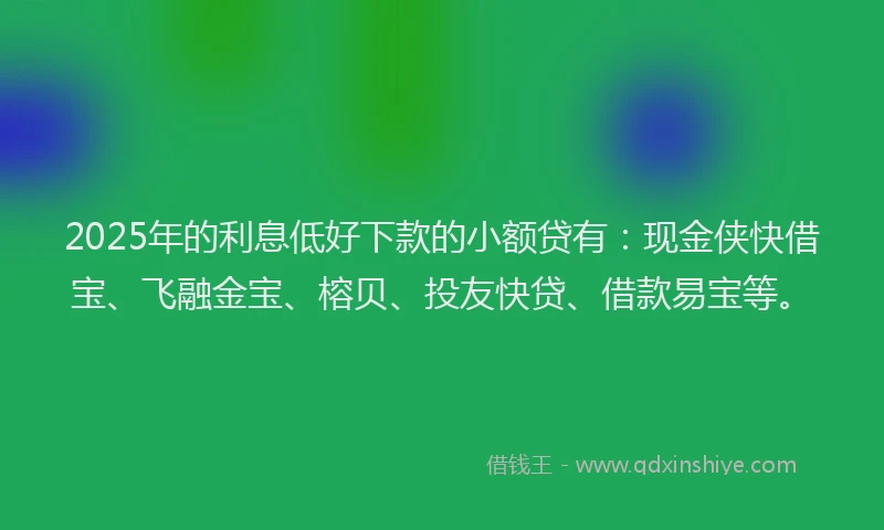 2025年的利息低好下款的小额贷有：现金侠快借宝、飞融金宝、榕贝、投友快贷、借款易宝等。