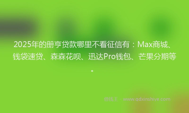 2025年的册亨贷款哪里不看征信有：Max商城、钱袋速贷、森森花呗、迅达Pro钱包、芒果分期等。