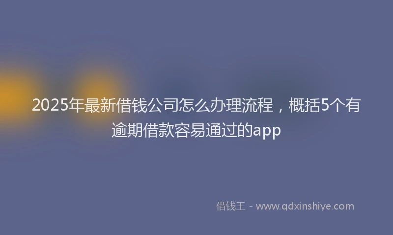 2025年最新借钱公司怎么办理流程，概括5个有逾期借款容易通过的app