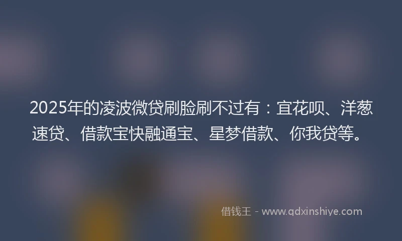 2025年的凌波微贷刷脸刷不过有：宜花呗、洋葱速贷、借款宝快融通宝、星梦借款、你我贷等。
