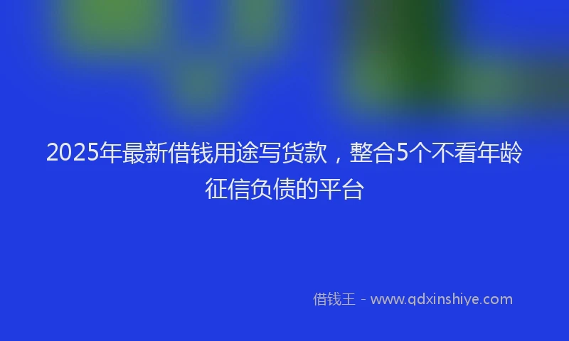 2025年最新借钱用途写货款，整合5个不看年龄征信负债的平台