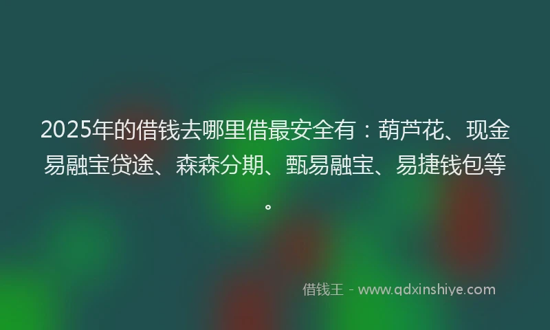2025年的借钱去哪里借最安全有：葫芦花、现金易融宝贷途、森森分期、甄易融宝、易捷钱包等。