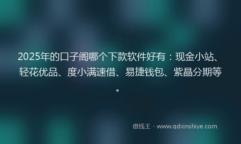 2025年的口子阁哪个下款软件好有：现金小站、轻花优品、度小满速借、易捷钱包、紫晶分期等。