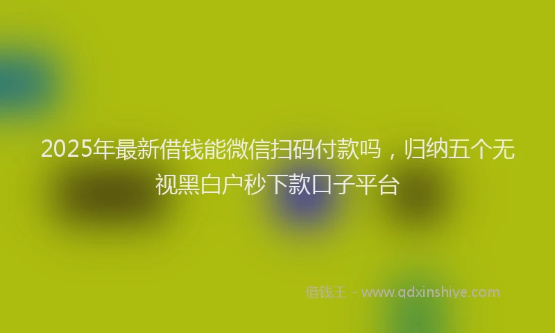 2025年最新借钱能微信扫码付款吗，归纳五个无视黑白户秒下款口子平台