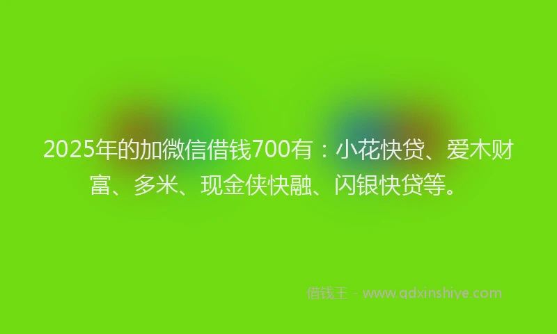 2025年的加微信借钱700有：小花快贷、爱木财富、多米、现金侠快融、闪银快贷等。