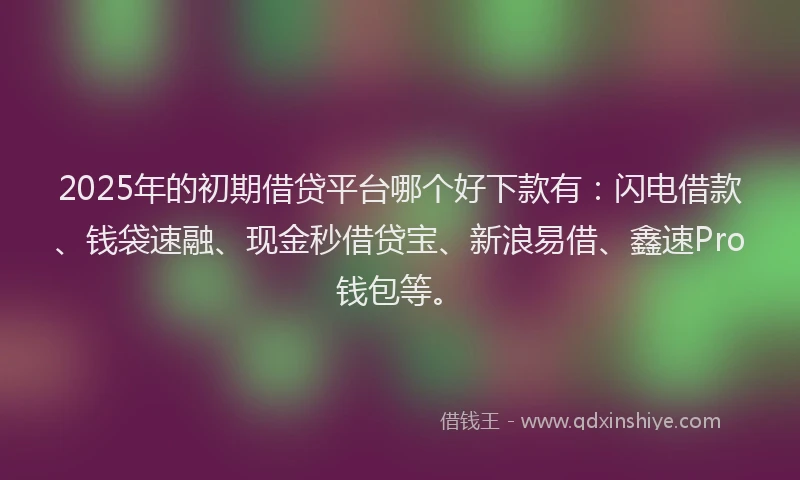 2025年的初期借贷平台哪个好下款有：闪电借款、钱袋速融、现金秒借贷宝、新浪易借、鑫速Pro钱包等。
