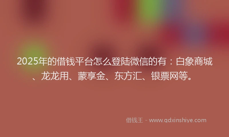 2025年的借钱平台怎么登陆微信的有：白象商城、龙龙用、蒙享金、东方汇、银票网等。