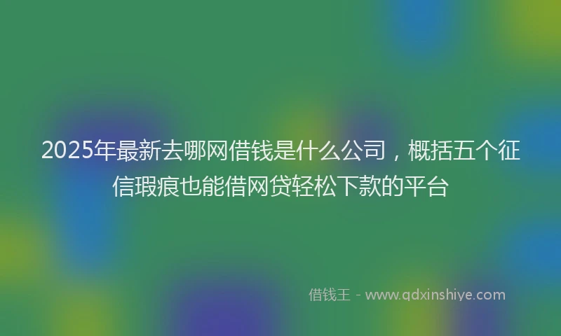 2025年最新去哪网借钱是什么公司，概括五个征信瑕疵也能借网贷轻松下款的平台