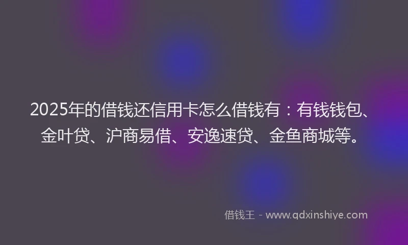 2025年的借钱还信用卡怎么借钱有：有钱钱包、金叶贷、沪商易借、安逸速贷、金鱼商城等。
