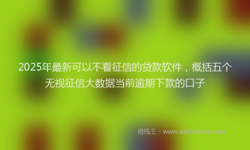 2025年最新可以不看征信的贷款软件，概括五个无视征信大数据当前逾期下款的口子