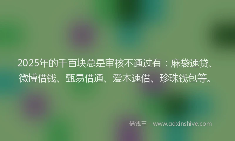 2025年的千百块总是审核不通过有：麻袋速贷、微博借钱、甄易借通、爱木速借、珍珠钱包等。