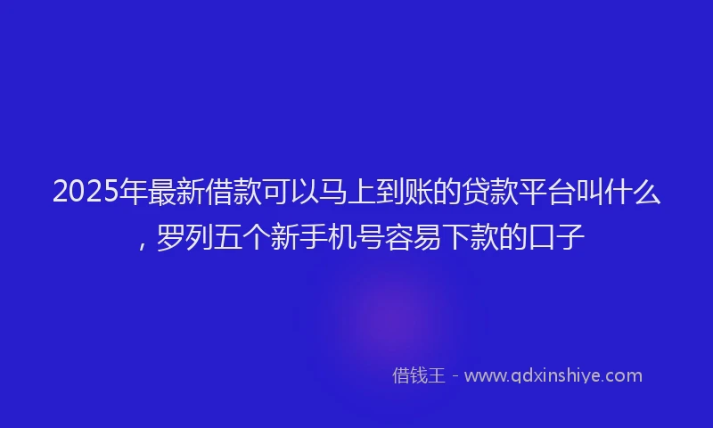 2025年最新借款可以马上到账的贷款平台叫什么，罗列五个新手机号容易下款的口子