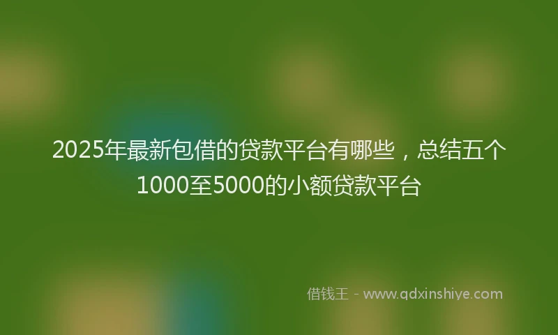 2025年最新包借的贷款平台有哪些，总结五个1000至5000的小额贷款平台