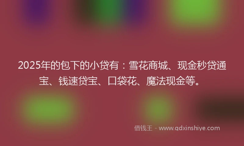 2025年的包下的小贷有：雪花商城、现金秒贷通宝、钱速贷宝、口袋花、魔法现金等。