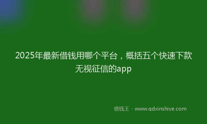 2025年最新借钱用哪个平台，概括五个快速下款无视征信的app