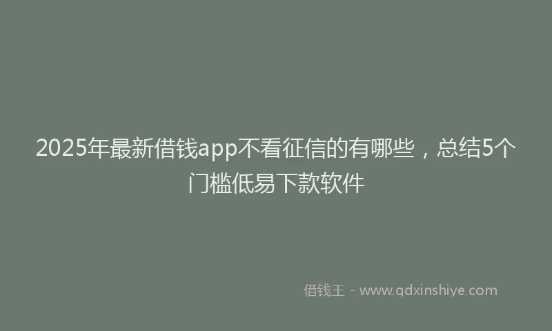 2025年最新借钱app不看征信的有哪些，总结5个门槛低易下款软件