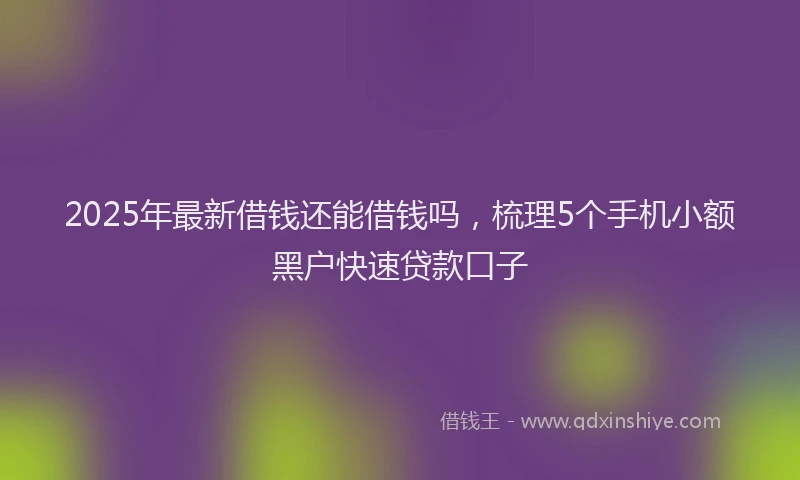2025年最新借钱还能借钱吗，梳理5个手机小额黑户快速贷款口子