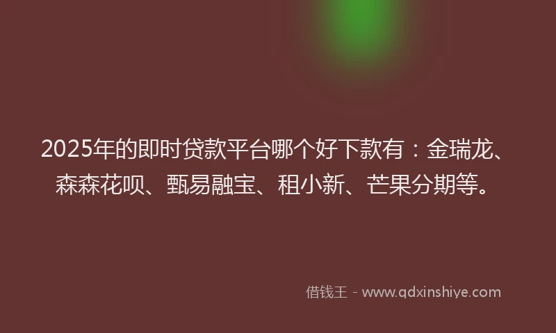 2025年的即时贷款平台哪个好下款有：金瑞龙、森森花呗、甄易融宝、租小新、芒果分期等。