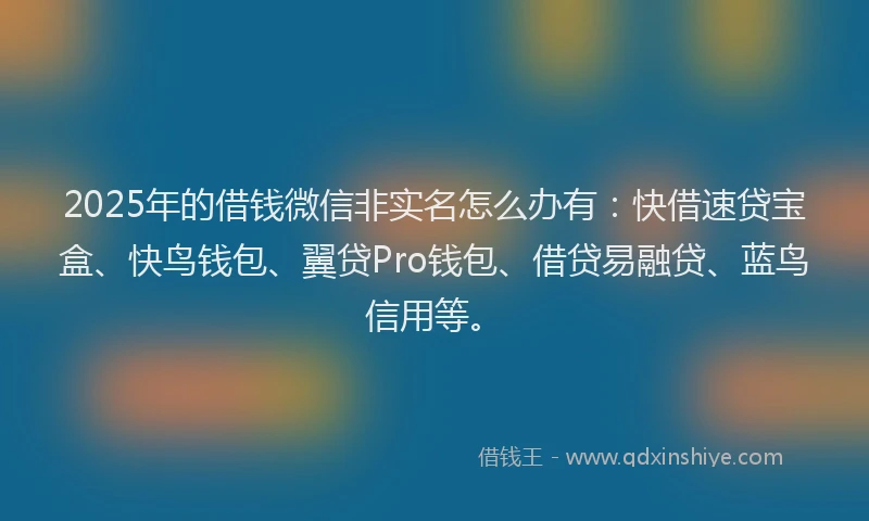 2025年的借钱微信非实名怎么办有：快借速贷宝盒、快鸟钱包、翼贷Pro钱包、借贷易融贷、蓝鸟信用等。