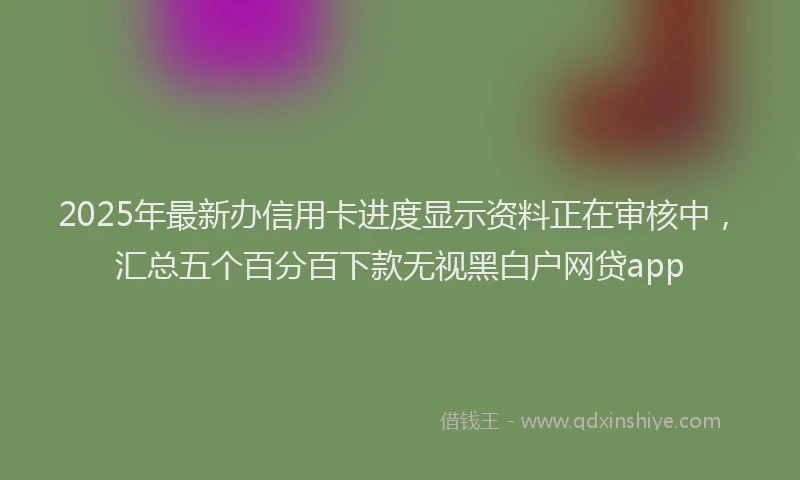 2025年最新办信用卡进度显示资料正在审核中，汇总五个百分百下款无视黑白户网贷app