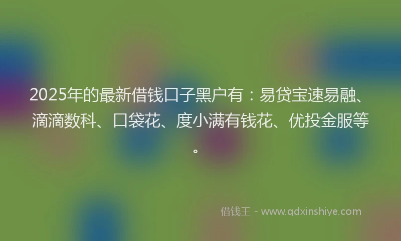 2025年的最新借钱口子黑户有：易贷宝速易融、滴滴数科、口袋花、度小满有钱花、优投金服等。