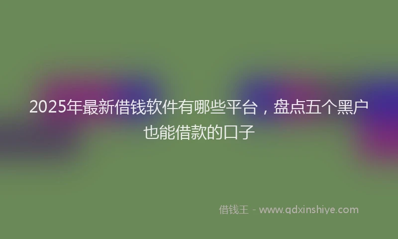 2025年最新借钱软件有哪些平台，盘点五个黑户也能借款的口子