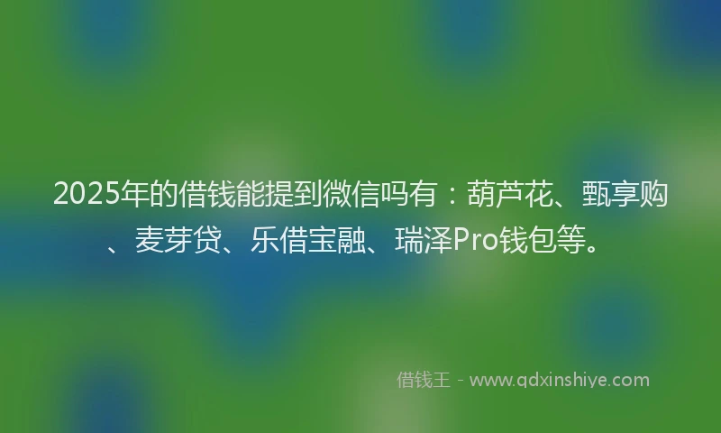 2025年的借钱能提到微信吗有：葫芦花、甄享购、麦芽贷、乐借宝融、瑞泽Pro钱包等。