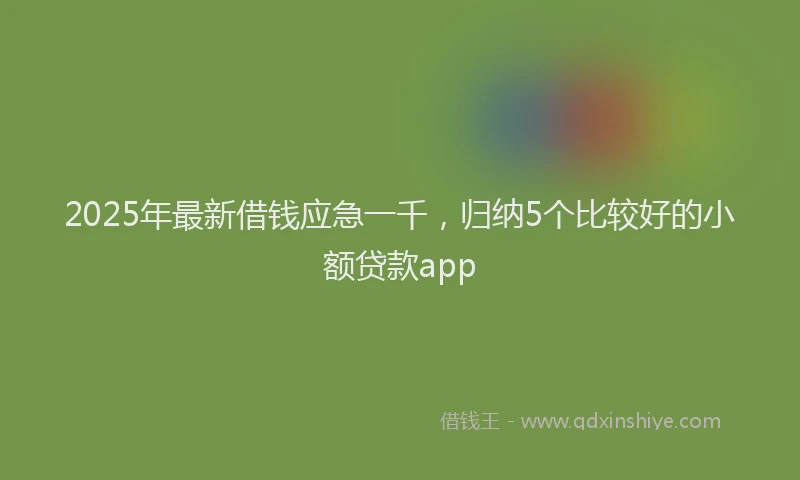 2025年最新借钱应急一千，归纳5个比较好的小额贷款app