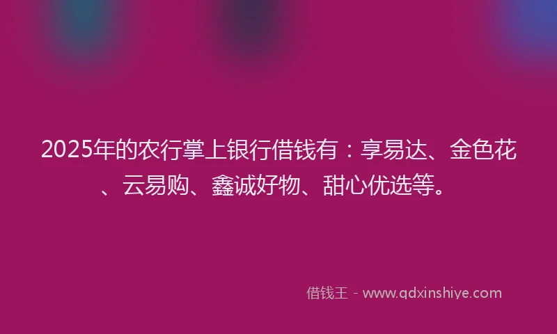 2025年的农行掌上银行借钱有：享易达、金色花、云易购、鑫诚好物、甜心优选等。